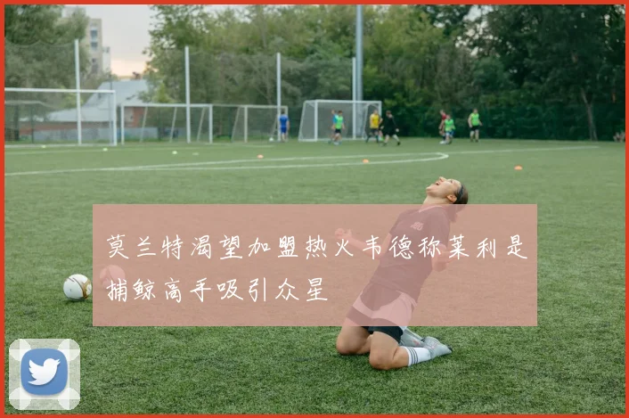 莫兰特渴望加盟热火韦德称莱利是捕鲸高手吸引众星