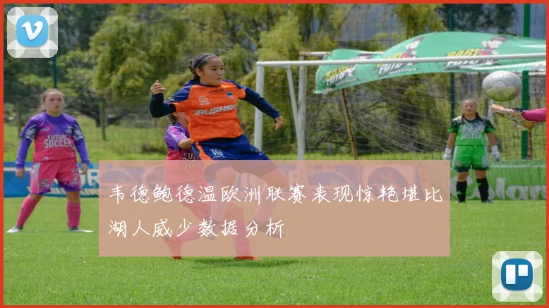 韦德鲍德温欧洲联赛表现惊艳堪比湖人威少数据分析