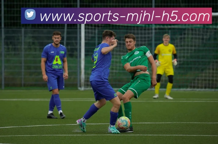 麻将胡了服务体系